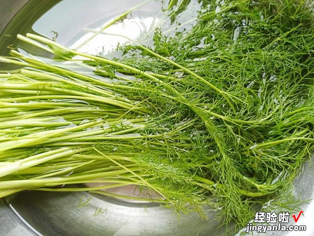 茴香苗别老是包饺子了，上锅清蒸5分钟，饭菜一锅出，比饺子还香