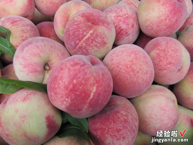 中国哪的水蜜桃好吃?经过对比,这5个地方名气大,有你家乡吗?