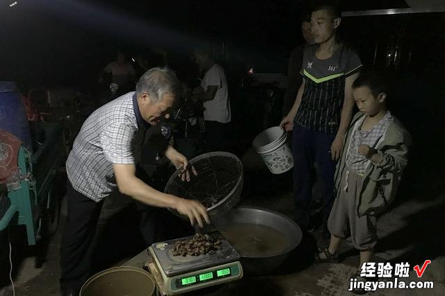 以前8元一斤,如今涨到80元,南方:不敢尝试,北方:一盘不够吃