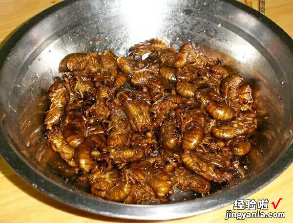 以前8元一斤,如今涨到80元,南方:不敢尝试,北方:一盘不够吃