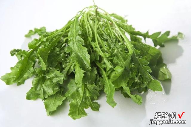 为什么老人不愿吃野菜？爷爷这样说，虽然营养高，但是我们吃怕了