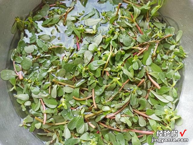 大热天这样蒸一锅，饭菜全搞定，10分钟上桌，简单营养，老少皆宜