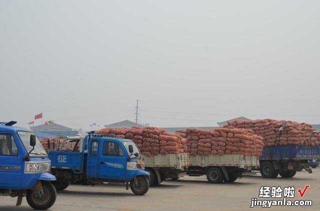 大蒜非常辣，为什么北方人能一瓣接一瓣的生吃，南方朋友很不理解