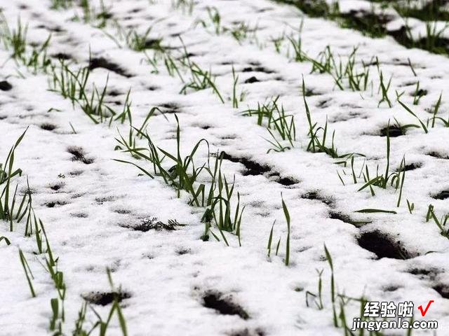 今日四九，老人常说“四九河开，来年有灾”，啥意思？看完涨知识