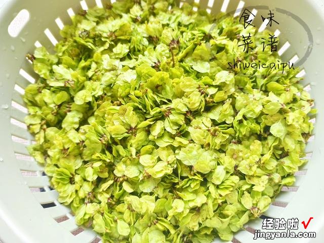 春天把这野菜蒸一蒸，含铁量是菠菜的11倍，配上蘸料一盘不够吃