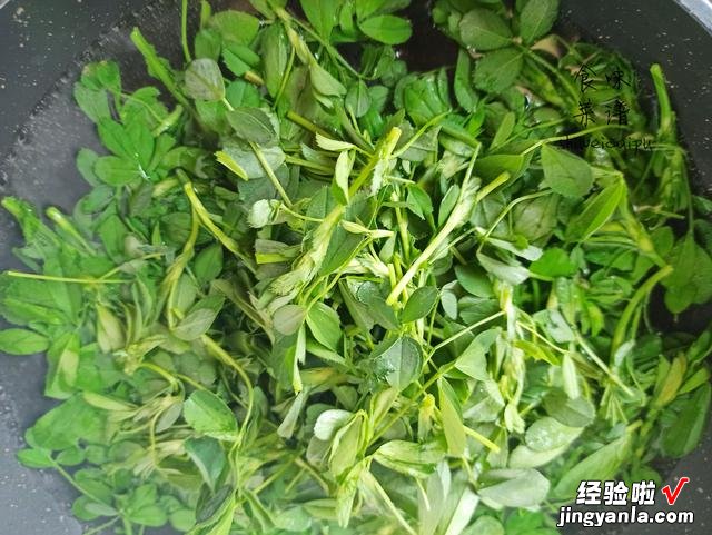 春天碰到这野菜别犹豫，我一买就是20斤，营养价值高，常吃身体好