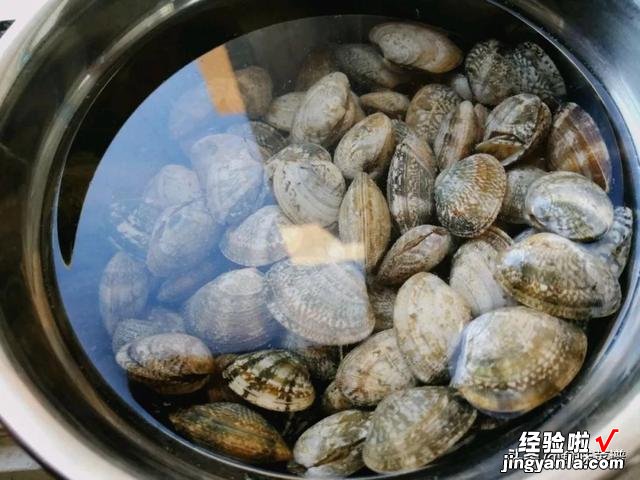 花甲怎样吐沙子？海鲜店老板教你一招，简单实用，泥沙自动跑出来