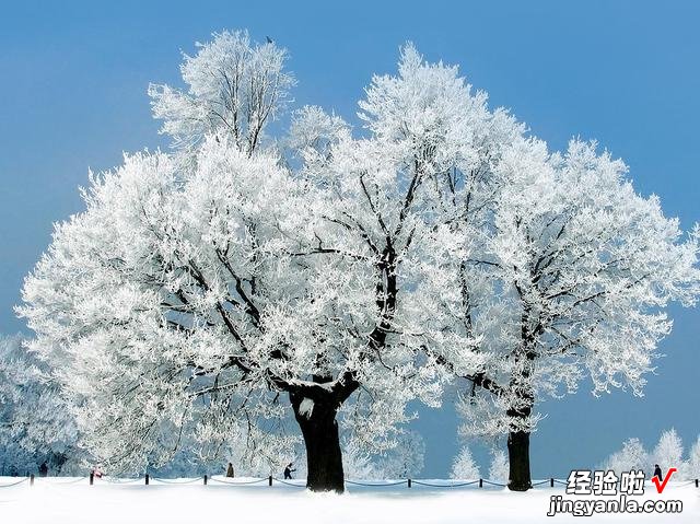 1月20日，就是大寒节气了，饮食上应该吃什么，又该如何养生呢？