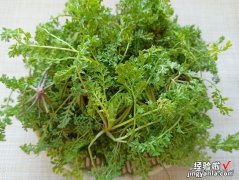 生长在麦地的野菜，做成饺子馅很香，鲜嫩多汁，错过这几天等明年