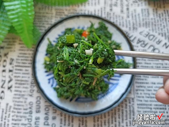 碰到这个野菜要趁早挖，鲜嫩营养，给红烧肉都不换，城里人没见过