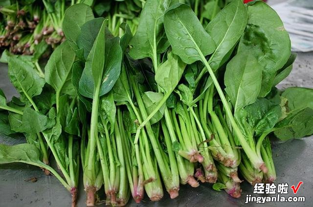 适合春天的6道时令菜,鲜嫩营养,应季又美味,给红烧肉都不想换