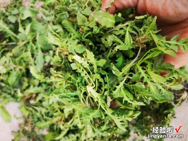 适合春天的6道时令菜,鲜嫩营养,应季又美味,给红烧肉都不想换