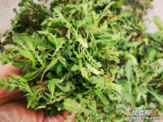 春分至、万物发，记得吃2样忌1样，寓意春分得意，往后日子更顺利