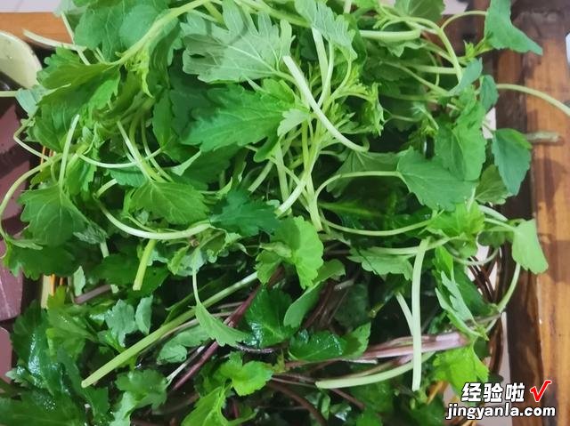 春天挖野菜，带你认识20种不同的野菜，营养丰富，凉拌调馅都好吃