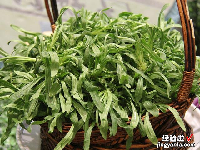 春天挖野菜，带你认识20种不同的野菜，营养丰富，凉拌调馅都好吃