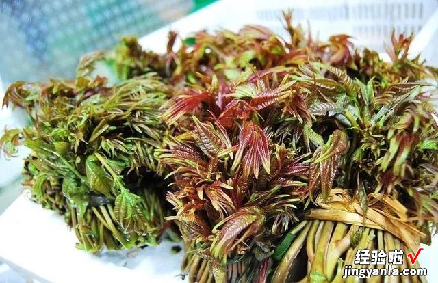 3种自带“毒素”的野菜，吃之前要当心，为了家人健康，不妨一看