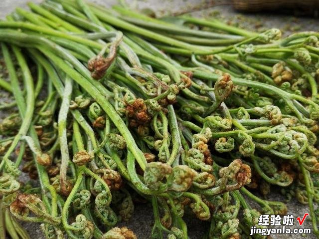 3种自带“毒素”的野菜，吃之前要当心，为了家人健康，不妨一看