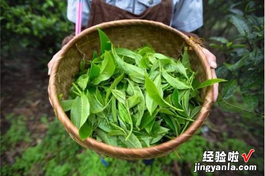 现在才明白，茶只要有这些“标识”，100%是劣质茶，很多人都喝过