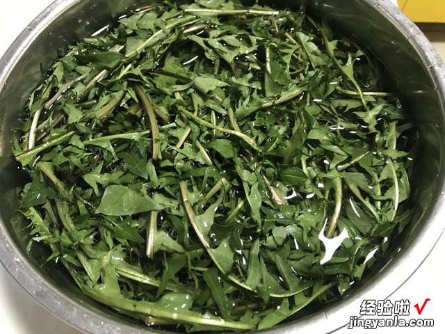 老爷爷教我炒蒲公英茶，没苦涩味，茶香自然，适合火大脾气急的人