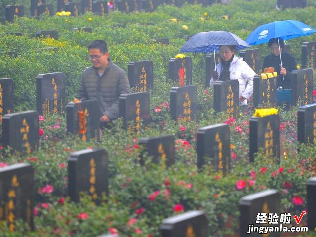 马上清明节了，老人说“上坟五不做，平安无灾祸”，指哪5件事？