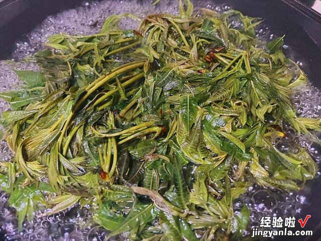 保存香椿别用盐腌,试试农家土办法,冬天炒鸡蛋真香,放一年不坏