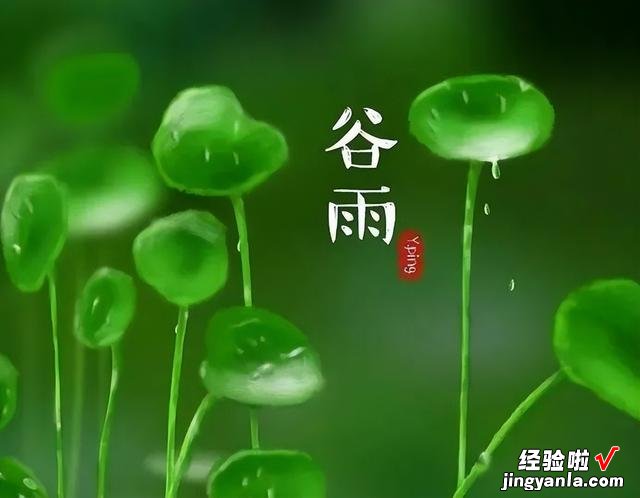 谷雨前后,种瓜点豆,菜园种上这6种青菜,长势迅速,营养又鲜美