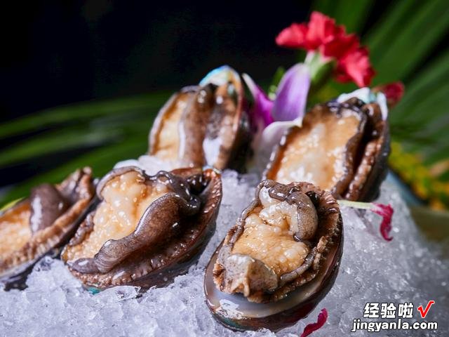 鲍鱼的“几头”是什么意思?很多人还搞不太清楚,学会再吃不出糗