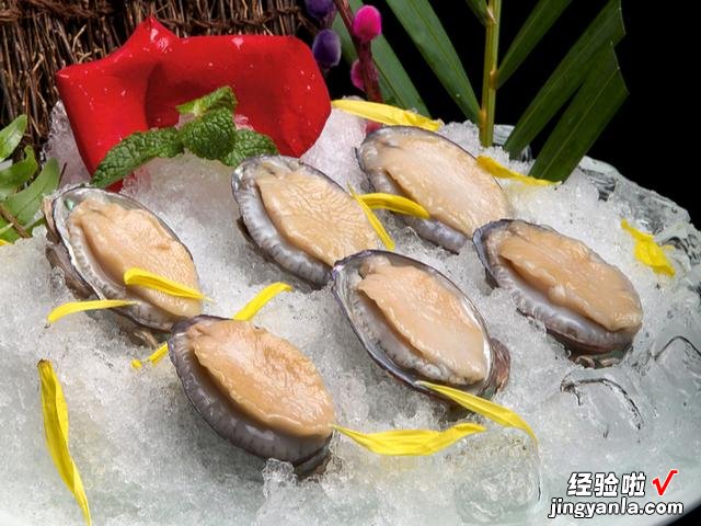 鲍鱼的“几头”是什么意思?很多人还搞不太清楚,学会再吃不出糗