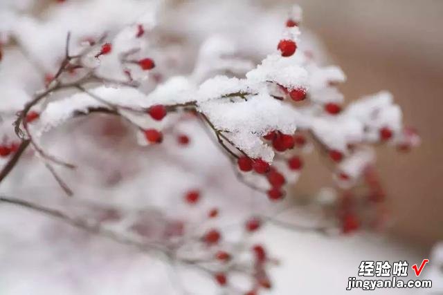 大雪过后，别管贫穷富有，多做这4锅热菜，好吃又实惠，你不学吗?