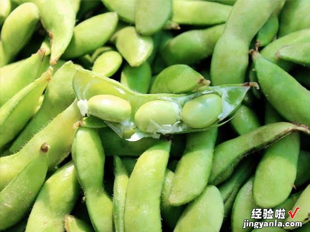 当之无愧的“纤维冠军”，比芹菜杆还高，适合当下酒菜，鲜香美味