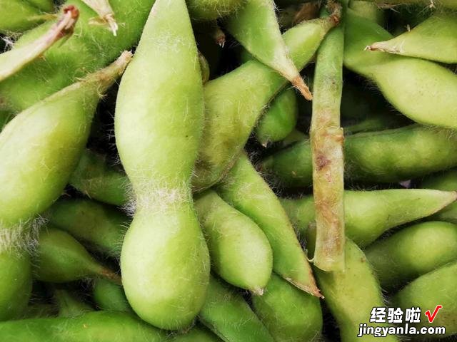 毛豆和黄豆是同一种豆吗,有什么区别?吃了这么多年,终于明白了
