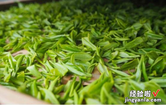 绿茶放了10年还能喝吗?绿茶的最佳饮用期,到底是多长时间?