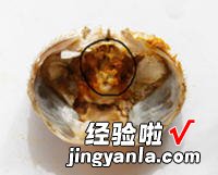 大闸蟹炒年糕