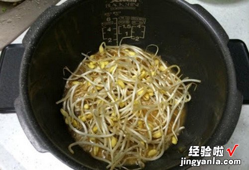 韩式牛肉豆芽饭