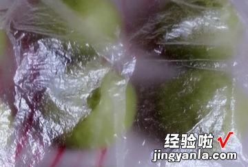 优格抹茶蜜红豆面包