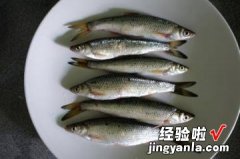 小杂鱼泡饼