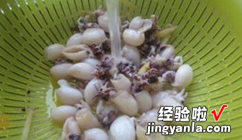 银芽墨鱼仔