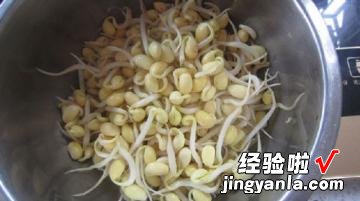 黄豆芽炒粉条