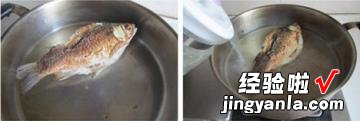 金钱荷包鱼