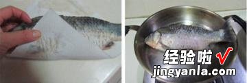 金钱荷包鱼