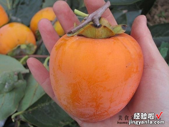 柿饼的制作方法