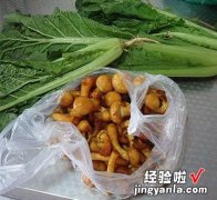 小白菜烩蘑菇