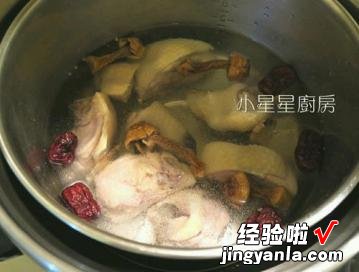 巴西蘑菇红枣鸡汤