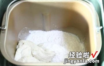 小熊豆沙包