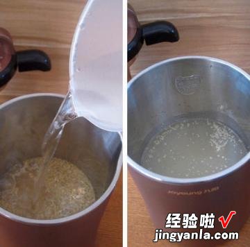 豆浆机 小麦胚芽豆浆