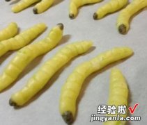 如此逼真的毛豆虫虫饼干你敢吃吗