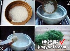 茴香皮蛋粥