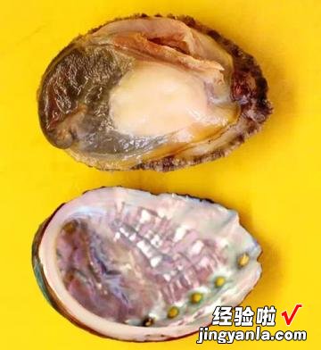 鲍鱼壳海带汤