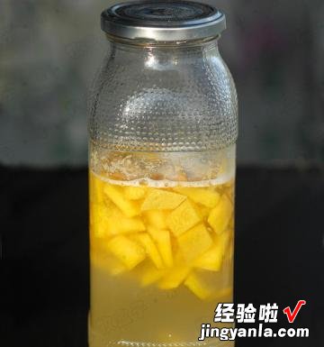 芒果皮酵母液