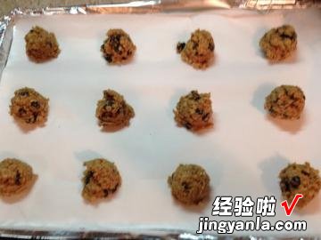 蓝莓燕麦饼干